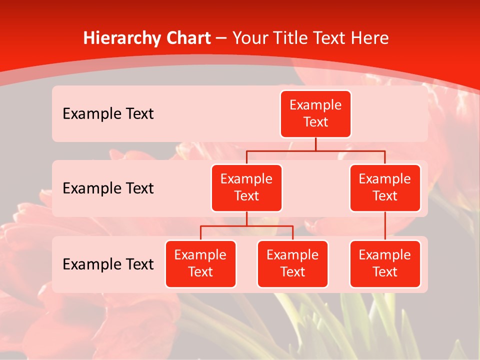 Bouquet Of A Tulips Isolated On A Black Background PowerPoint Template