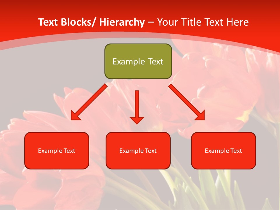 Bouquet Of A Tulips Isolated On A Black Background PowerPoint Template