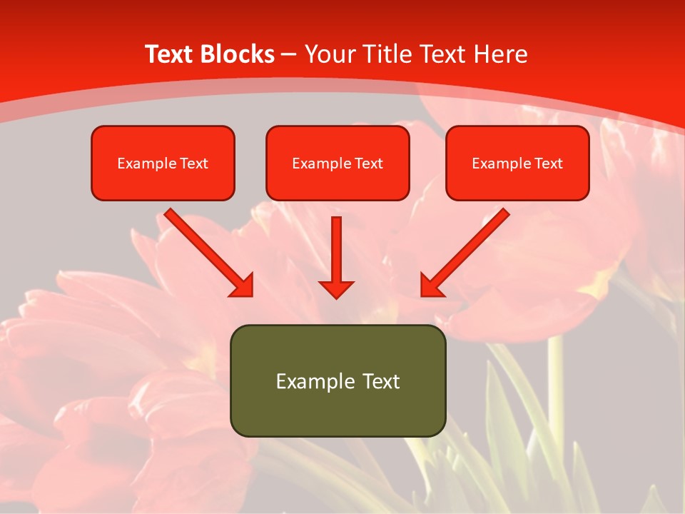 Bouquet Of A Tulips Isolated On A Black Background PowerPoint Template
