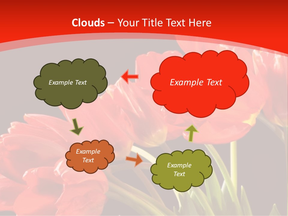 Bouquet Of A Tulips Isolated On A Black Background PowerPoint Template