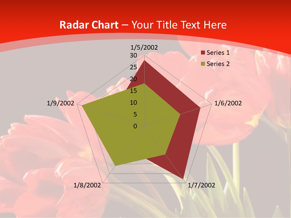 Bouquet Of A Tulips Isolated On A Black Background PowerPoint Template