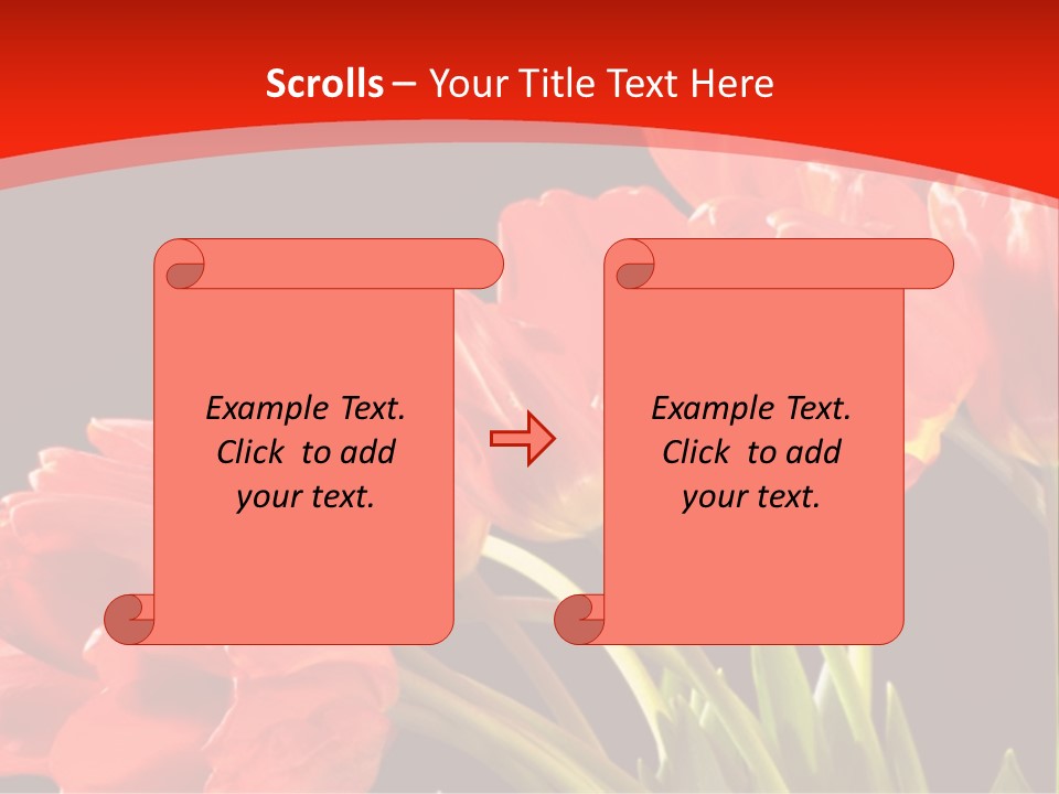 Bouquet Of A Tulips Isolated On A Black Background PowerPoint Template