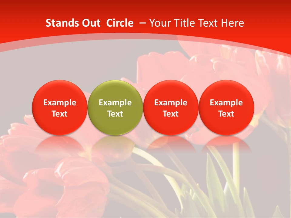 Bouquet Of A Tulips Isolated On A Black Background PowerPoint Template