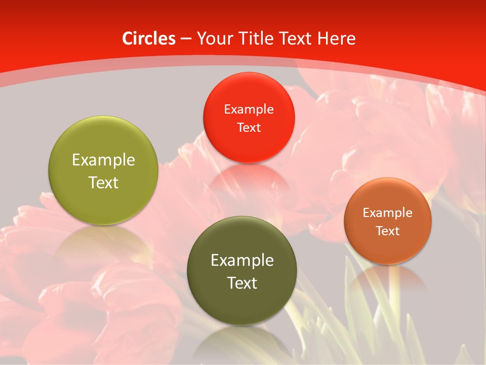 Bouquet Of A Tulips Isolated On A Black Background PowerPoint Template