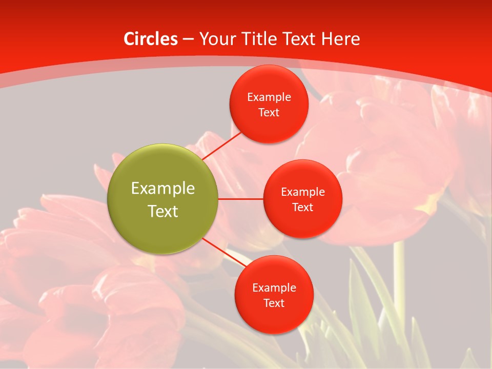 Bouquet Of A Tulips Isolated On A Black Background PowerPoint Template