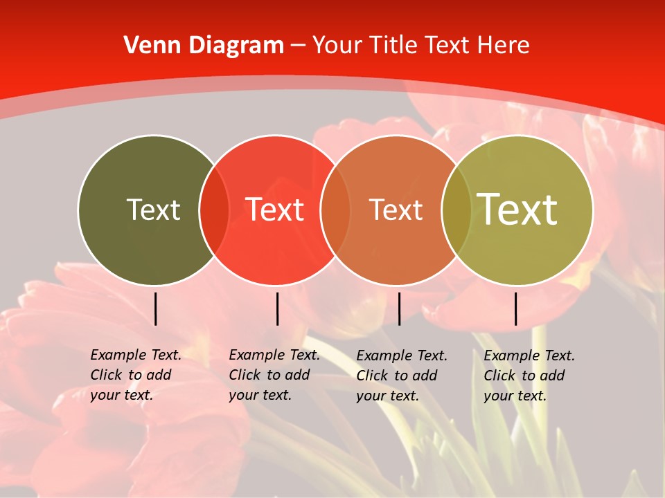 Bouquet Of A Tulips Isolated On A Black Background PowerPoint Template