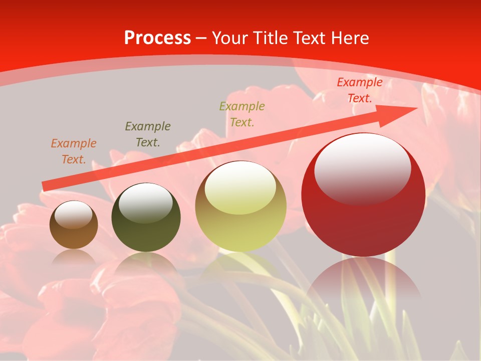 Bouquet Of A Tulips Isolated On A Black Background PowerPoint Template