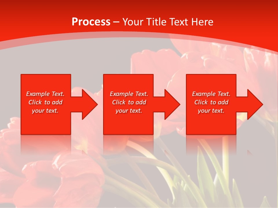 Bouquet Of A Tulips Isolated On A Black Background PowerPoint Template