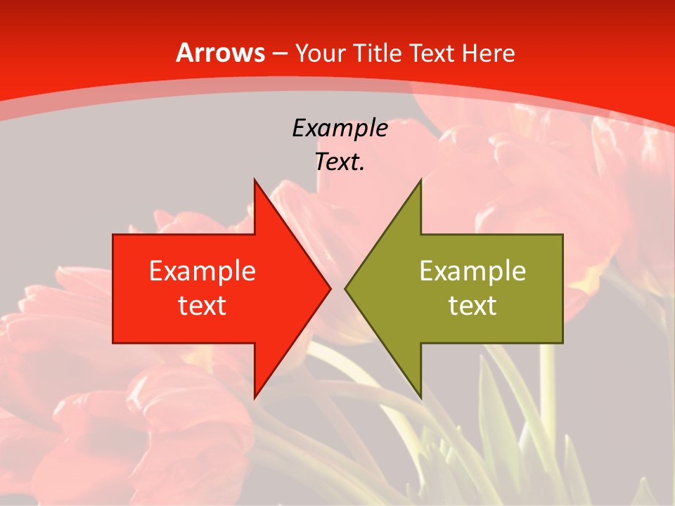 Bouquet Of A Tulips Isolated On A Black Background PowerPoint Template