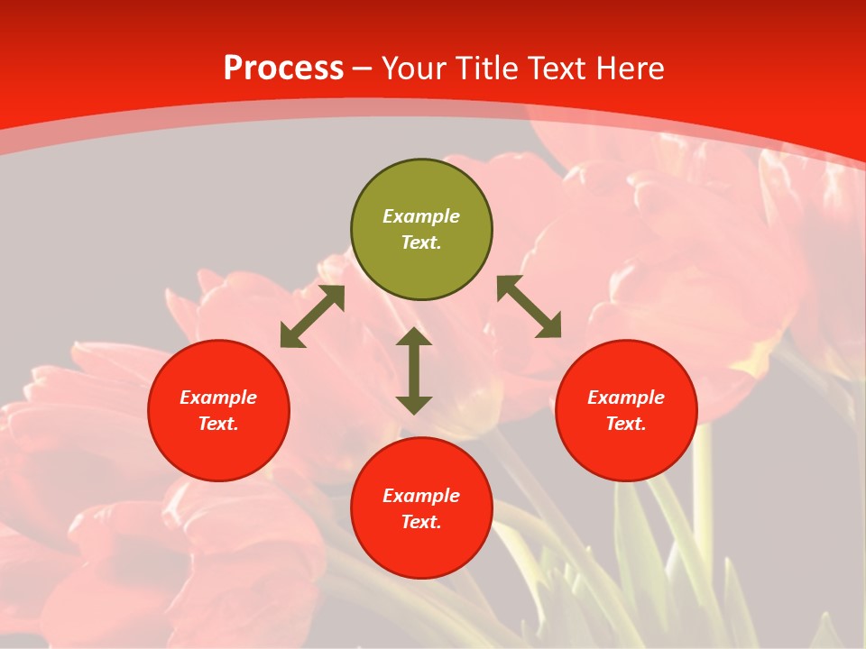 Bouquet Of A Tulips Isolated On A Black Background PowerPoint Template