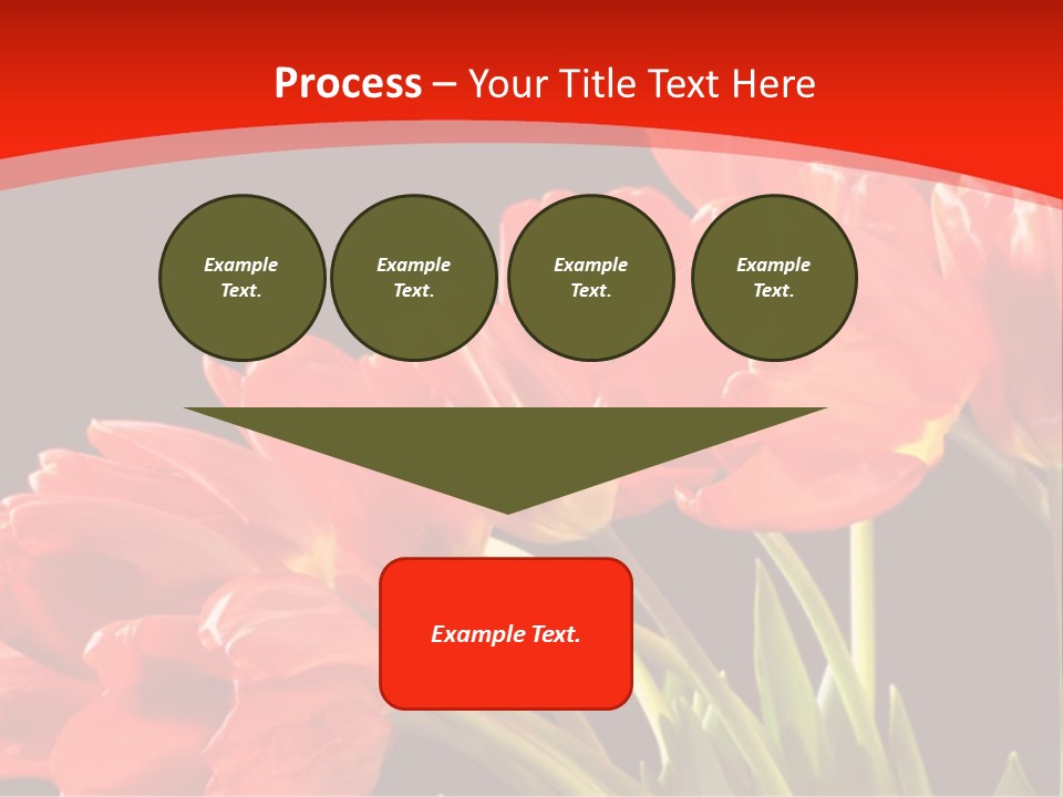 Bouquet Of A Tulips Isolated On A Black Background PowerPoint Template