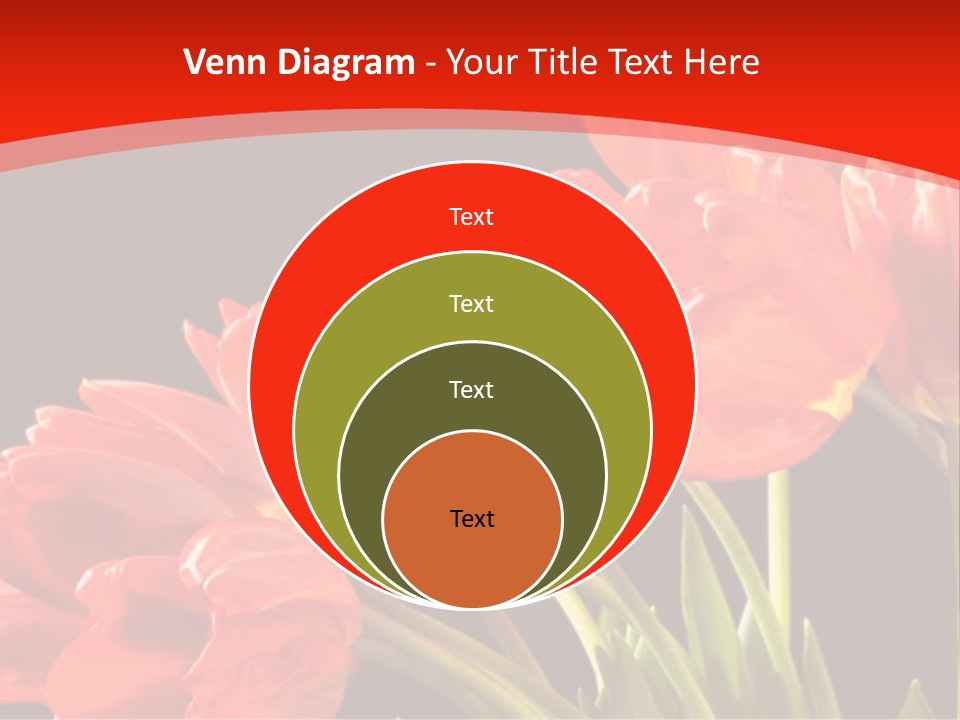 Bouquet Of A Tulips Isolated On A Black Background PowerPoint Template