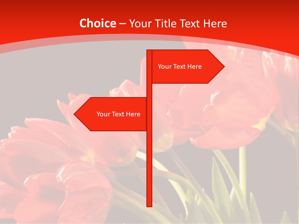 Bouquet Of A Tulips Isolated On A Black Background PowerPoint Template