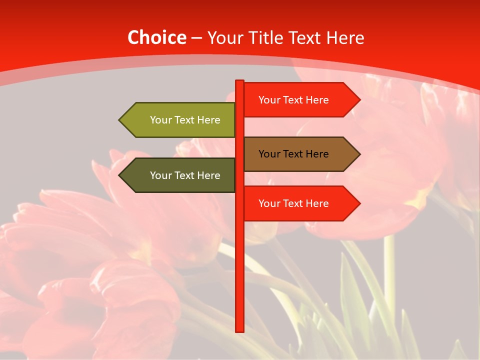 Bouquet Of A Tulips Isolated On A Black Background PowerPoint Template