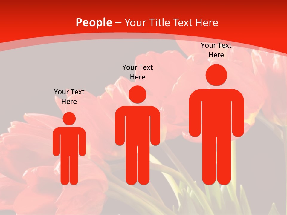 Bouquet Of A Tulips Isolated On A Black Background PowerPoint Template