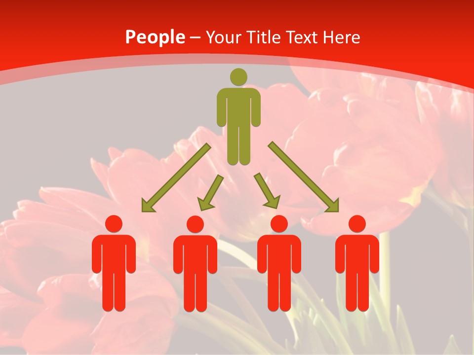 Bouquet Of A Tulips Isolated On A Black Background PowerPoint Template