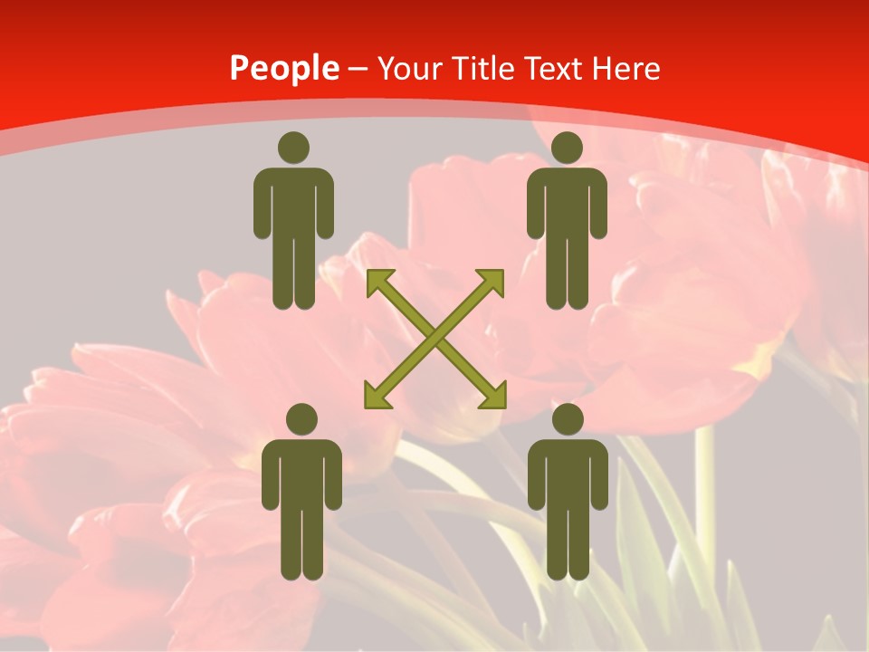 Bouquet Of A Tulips Isolated On A Black Background PowerPoint Template