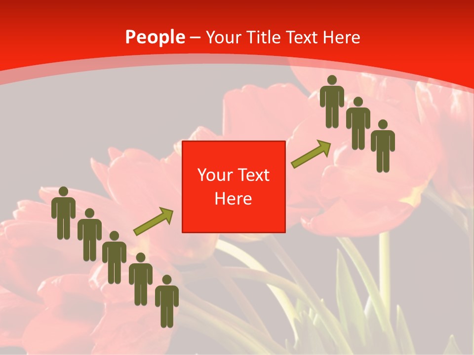 Bouquet Of A Tulips Isolated On A Black Background PowerPoint Template