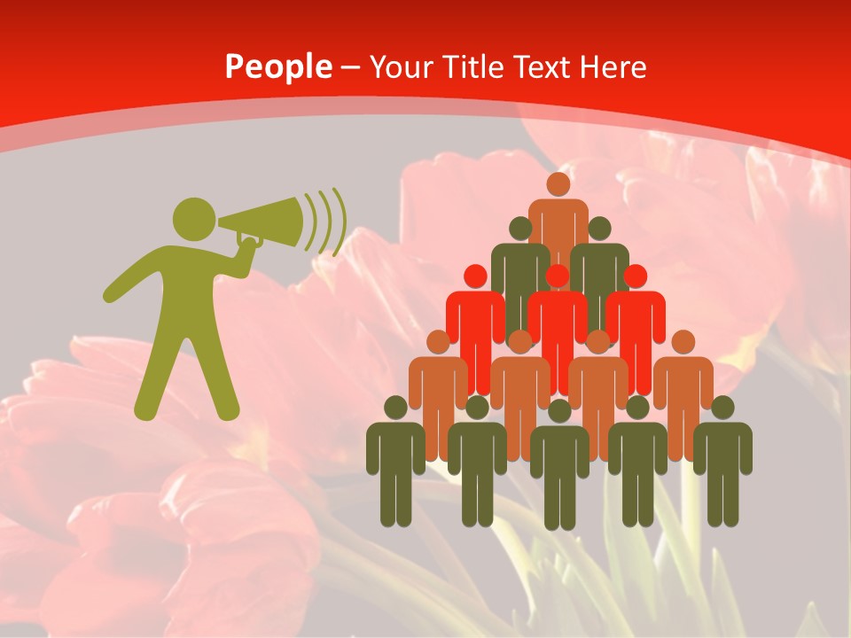 Bouquet Of A Tulips Isolated On A Black Background PowerPoint Template