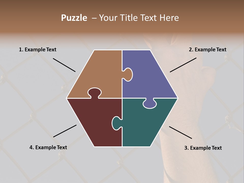 Run For The Border PowerPoint Template