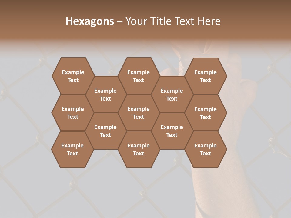 Run For The Border PowerPoint Template