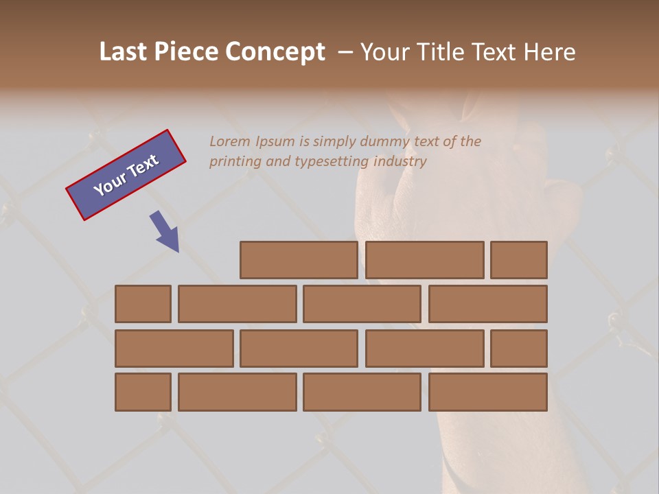 Run For The Border PowerPoint Template