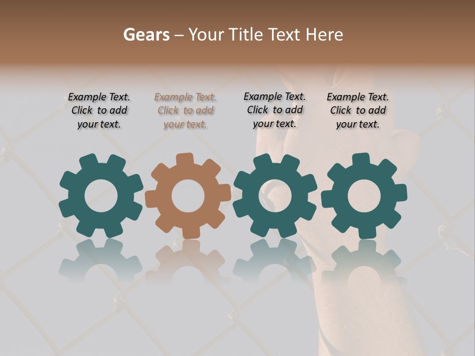 Run For The Border PowerPoint Template