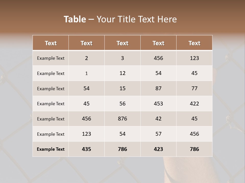 Run For The Border PowerPoint Template