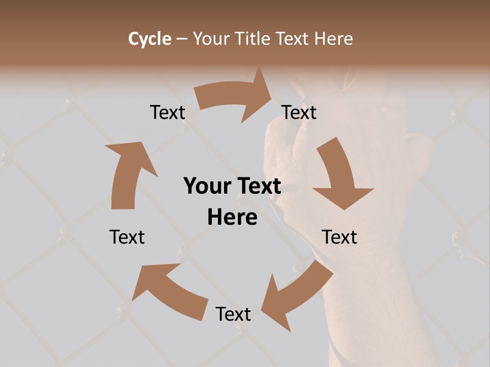 Run For The Border PowerPoint Template