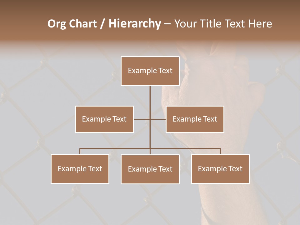 Run For The Border PowerPoint Template