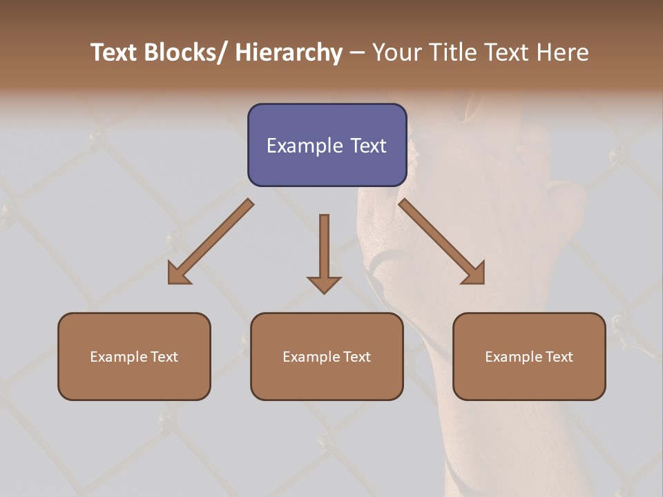 Run For The Border PowerPoint Template