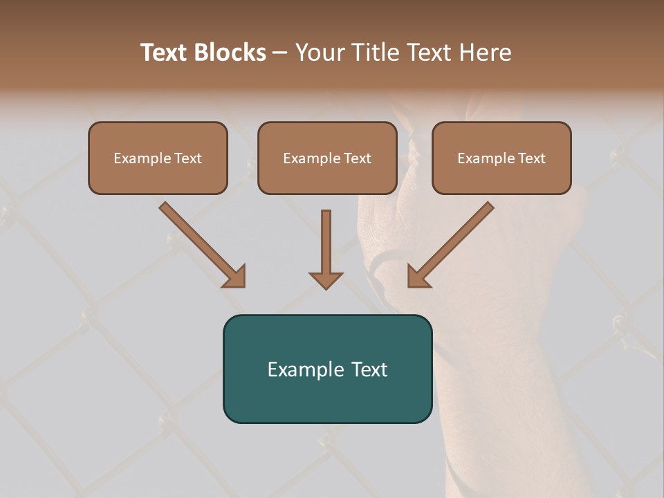 Run For The Border PowerPoint Template