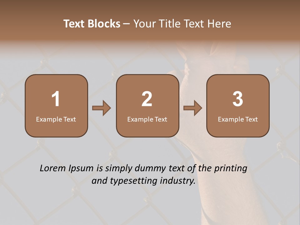 Run For The Border PowerPoint Template