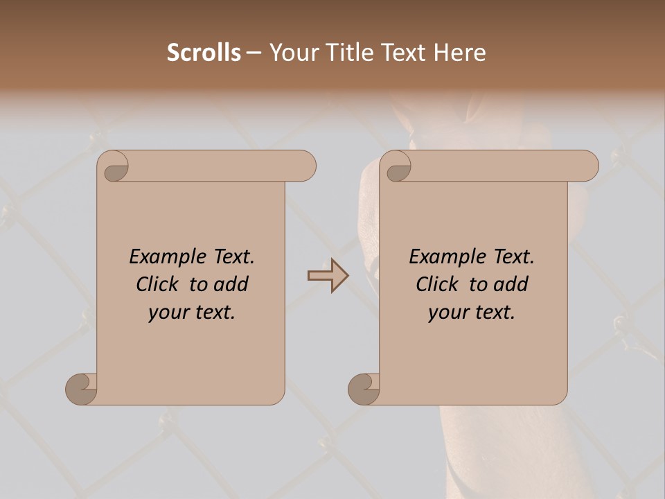 Run For The Border PowerPoint Template