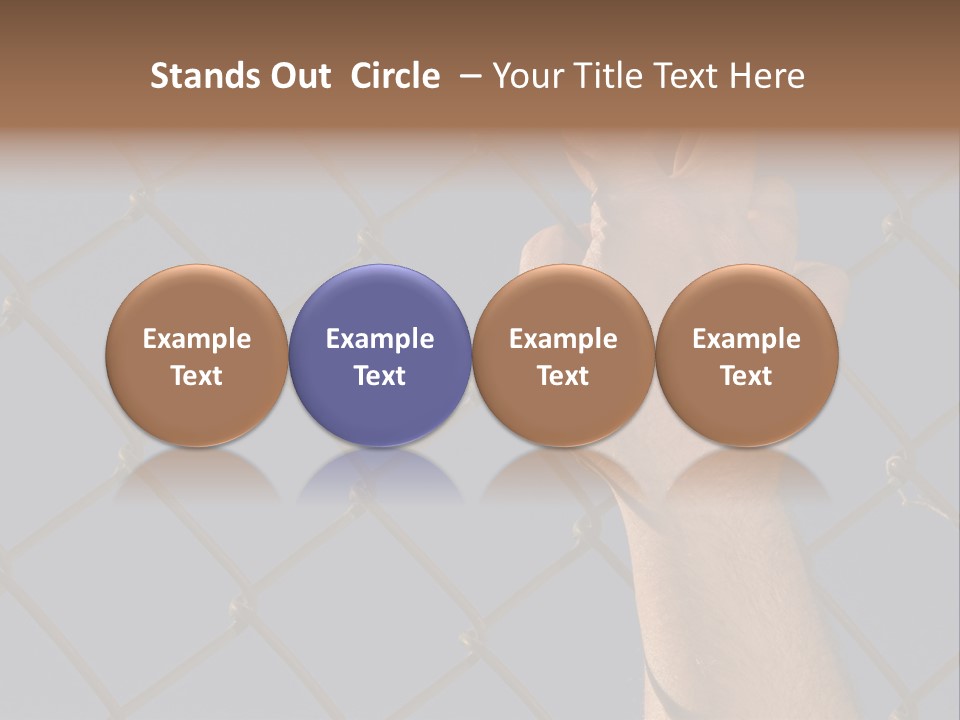 Run For The Border PowerPoint Template