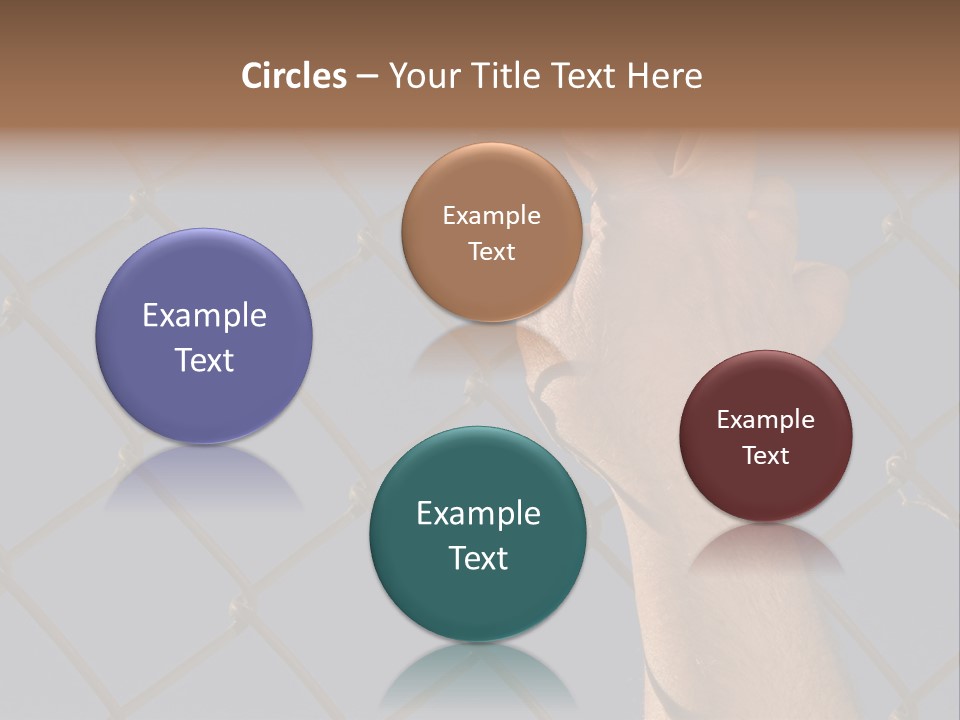 Run For The Border PowerPoint Template