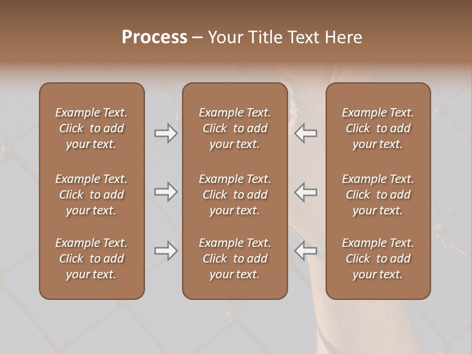 Run For The Border PowerPoint Template