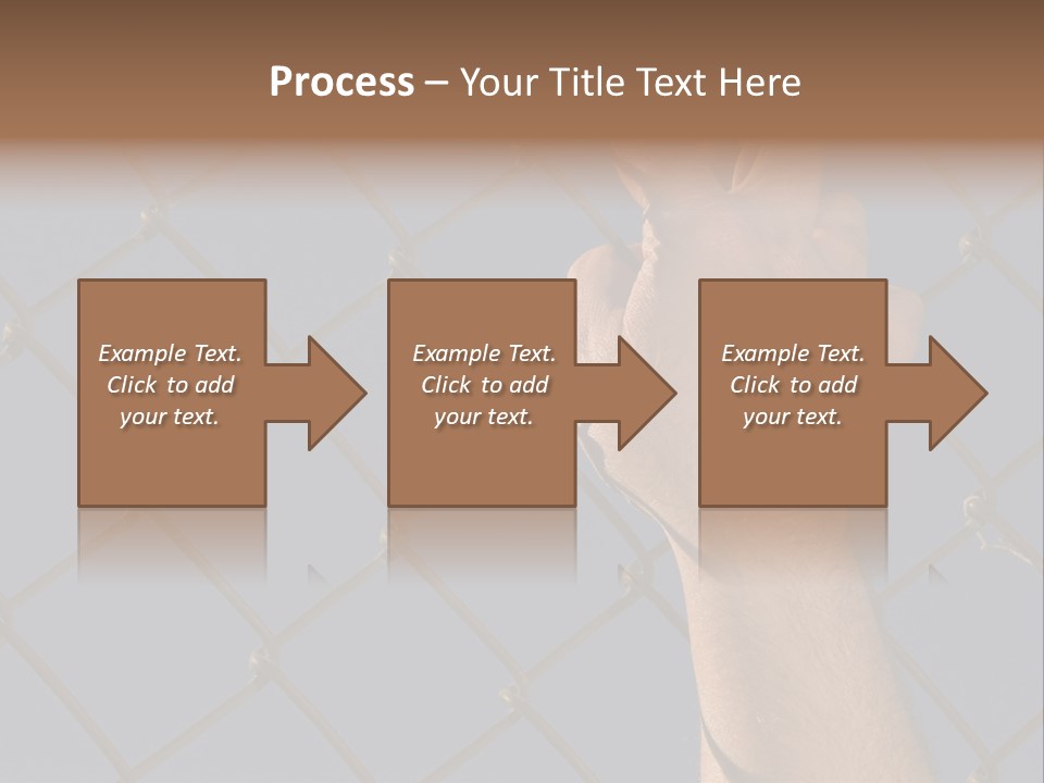 Run For The Border PowerPoint Template