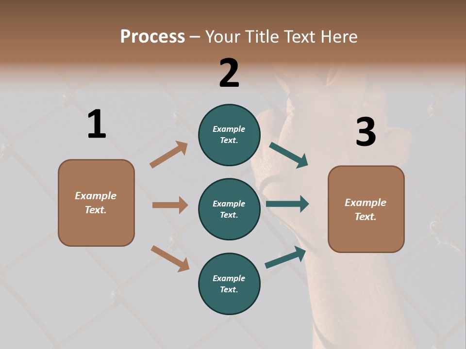 Run For The Border PowerPoint Template