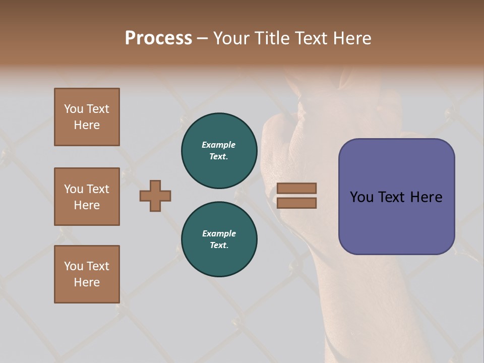 Run For The Border PowerPoint Template