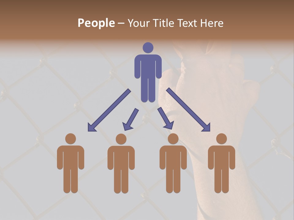 Run For The Border PowerPoint Template