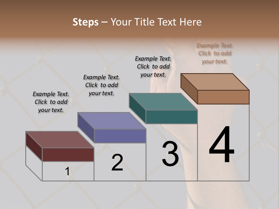Run For The Border PowerPoint Template