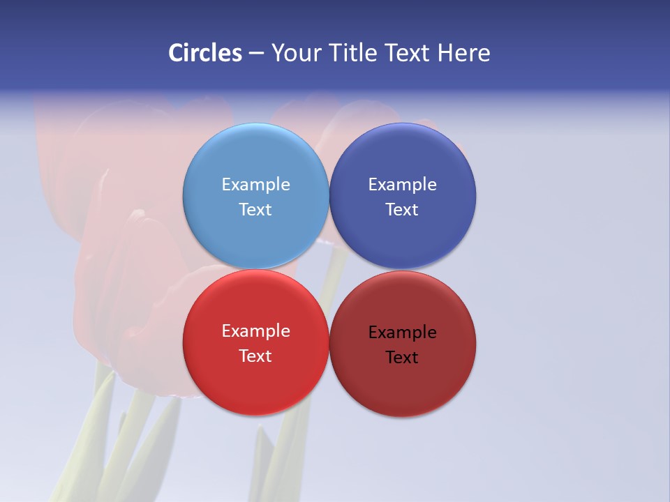 Image Of Red Tulips Against Vivid Blue PowerPoint Template