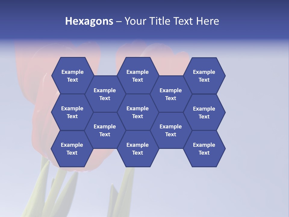 Image Of Red Tulips Against Vivid Blue PowerPoint Template