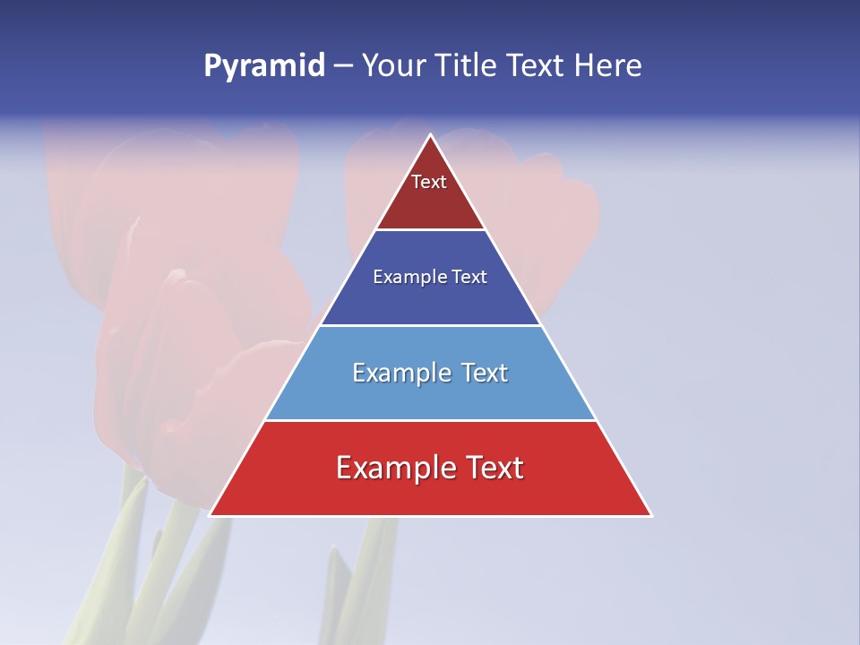 Image Of Red Tulips Against Vivid Blue PowerPoint Template