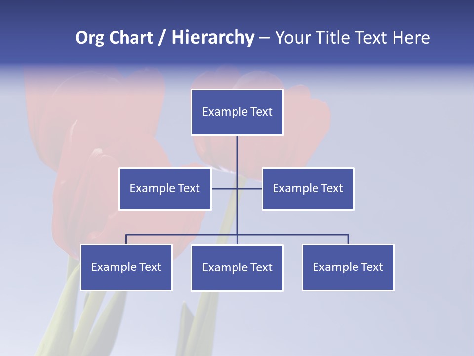 Image Of Red Tulips Against Vivid Blue PowerPoint Template
