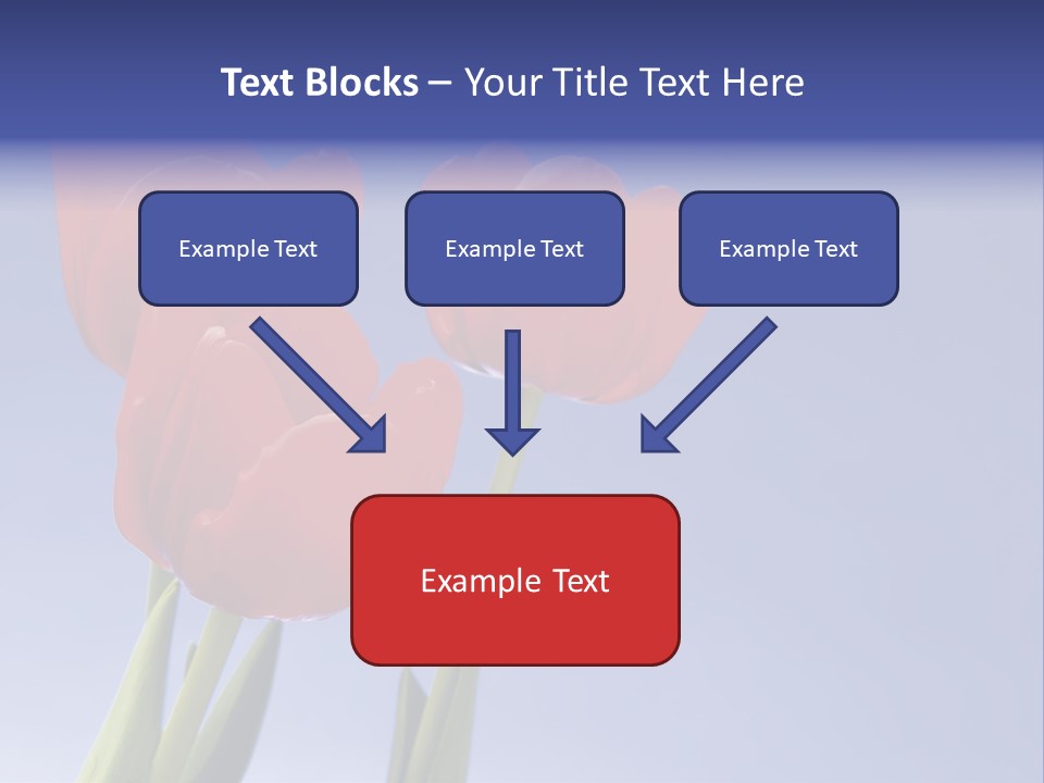 Image Of Red Tulips Against Vivid Blue PowerPoint Template