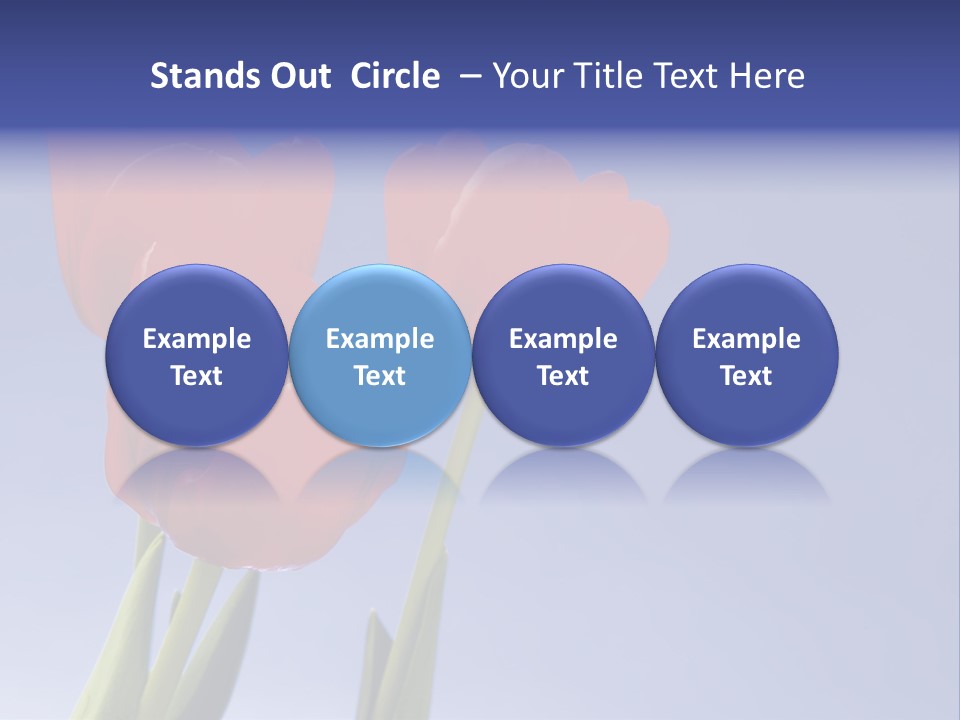 Image Of Red Tulips Against Vivid Blue PowerPoint Template