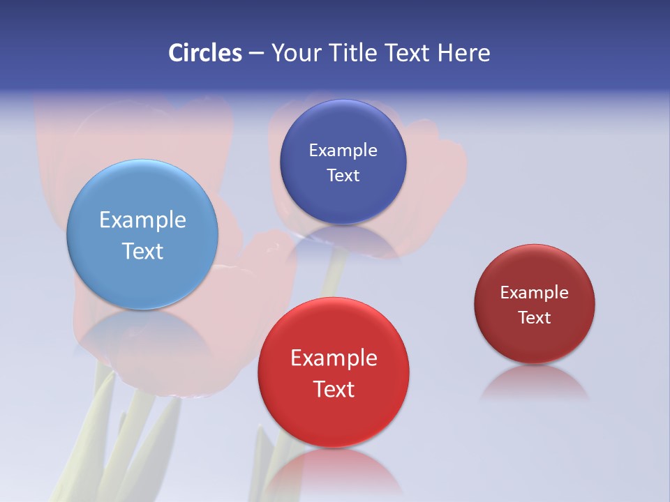 Image Of Red Tulips Against Vivid Blue PowerPoint Template