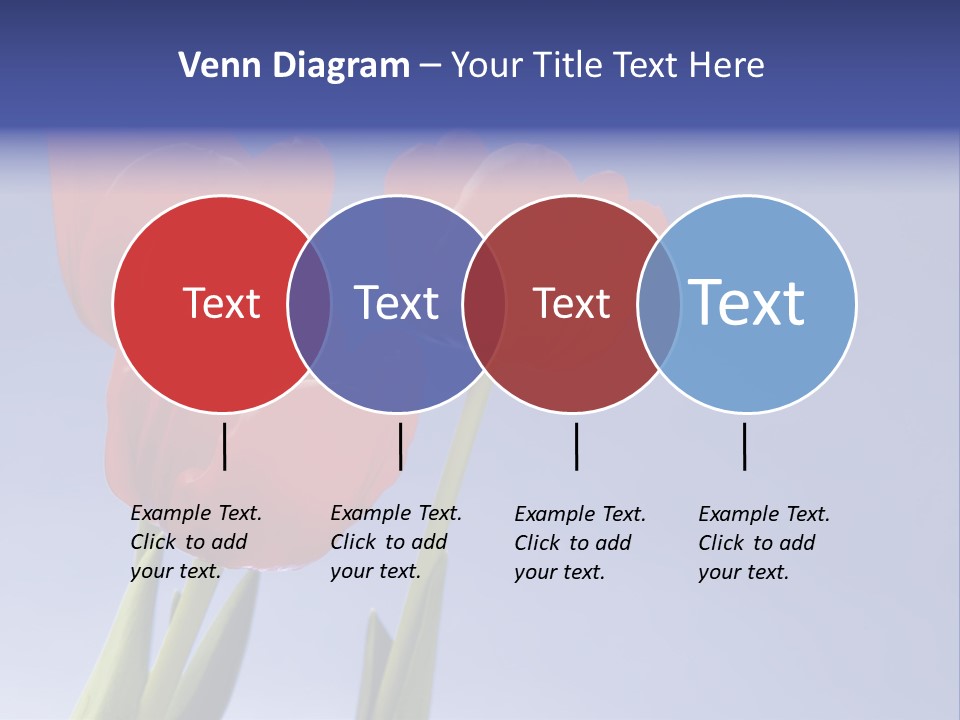 Image Of Red Tulips Against Vivid Blue PowerPoint Template